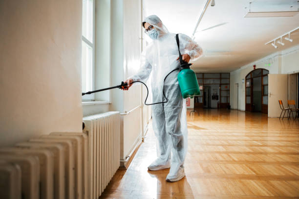 Best Pest Control for Restaurants  in Wrightwood, CA